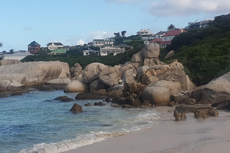 Le Cap:Nager avec les pingouins Boulders Beach cape point