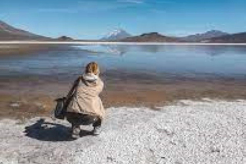 Full Day: excursion in Arequipa Laguna de Salinas