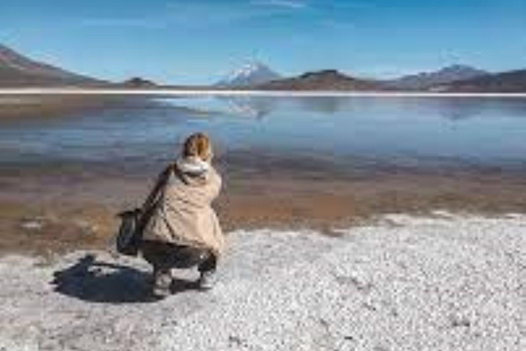 Full Day: excursion in Arequipa Laguna de Salinas