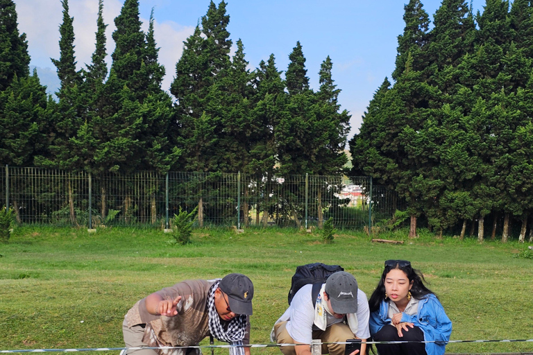 Borobudur Climb-Up & Prambanan Journey with Licensed Guide Borobudur Climb-Up & Prambanan Journey with Licensed Guide