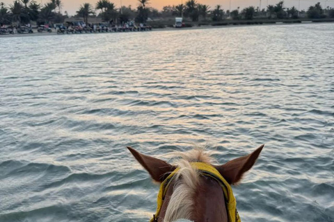 Przejażdżka konna o zachodzie słońca po spokojnych plażach Dżerby.