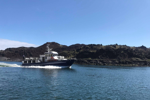 Vestmannaeyjar: Heimaey Island Round Boat Tour