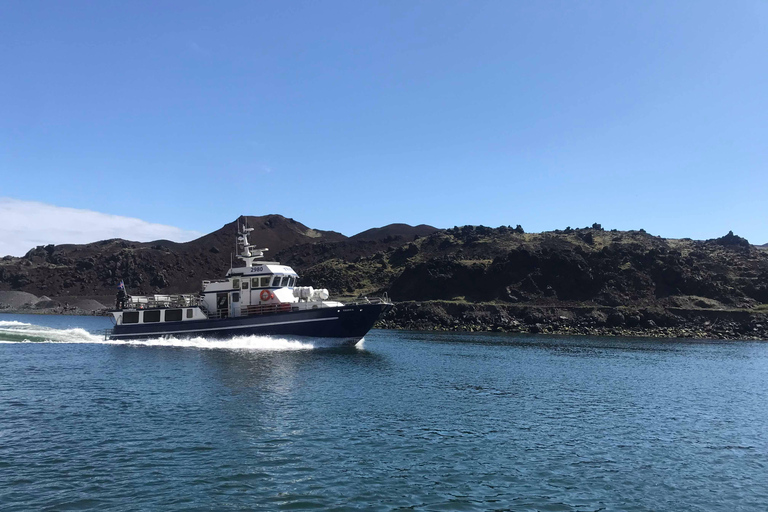 Vestmannaeyjar: Heimaey Island Round Boat Tour