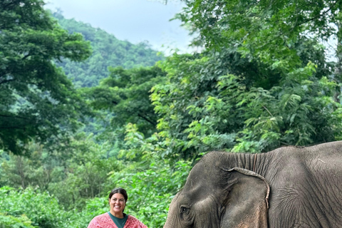 Chiang Mai Adventure: Rafting, ATV & Elephants Experience. Bamboo rafting (4km.) & 1 hrs. ATV.