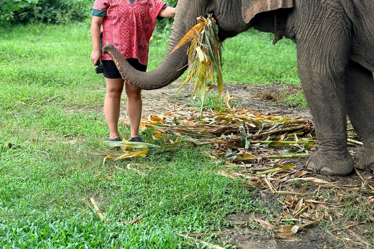 Chiang Mai Adventure: Rafting, ATV & Elephants Experience. Bamboo rafting (4km.) & 1 hrs. ATV.
