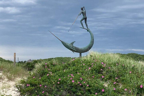 Martha's Vineyard: 3-Hour Full-Island Guided Tour