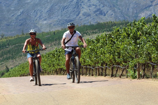 Visit Stellenbosch Winelands Guided E-bike day tour countryside in Somerset West