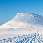 Kilpisjärvi: Schneemobil-Tour auf malerischer Strecke