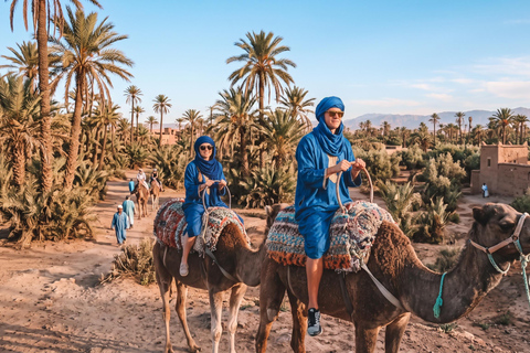 Marrakech: Palmeraie Camel Ride with Mint Tea & Pickup