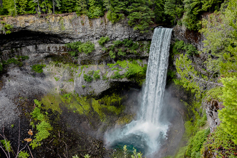 From Vancouver: Whistler Day Trip with Guided Village Tour Whistler Summer Adventure Tour