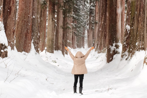 ناغانو: جولة خاصة في ضريح توجاكوشي، ساكي وزينكوجيالاستلام من مدينة ناغانو والمناطق المجاورة