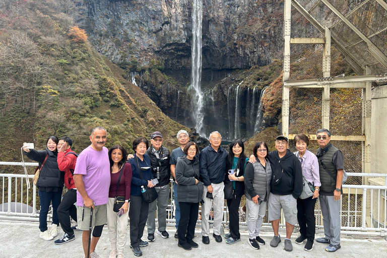 Tour particular de Nikko de e para Tóquio até 12 pessoas