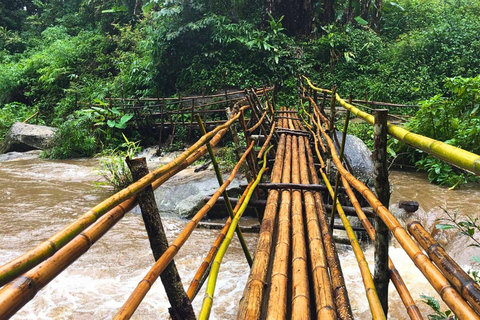 Chiang Mai: Parco nazionale di Doi Inthanon e trekking di Pha Dok Siew