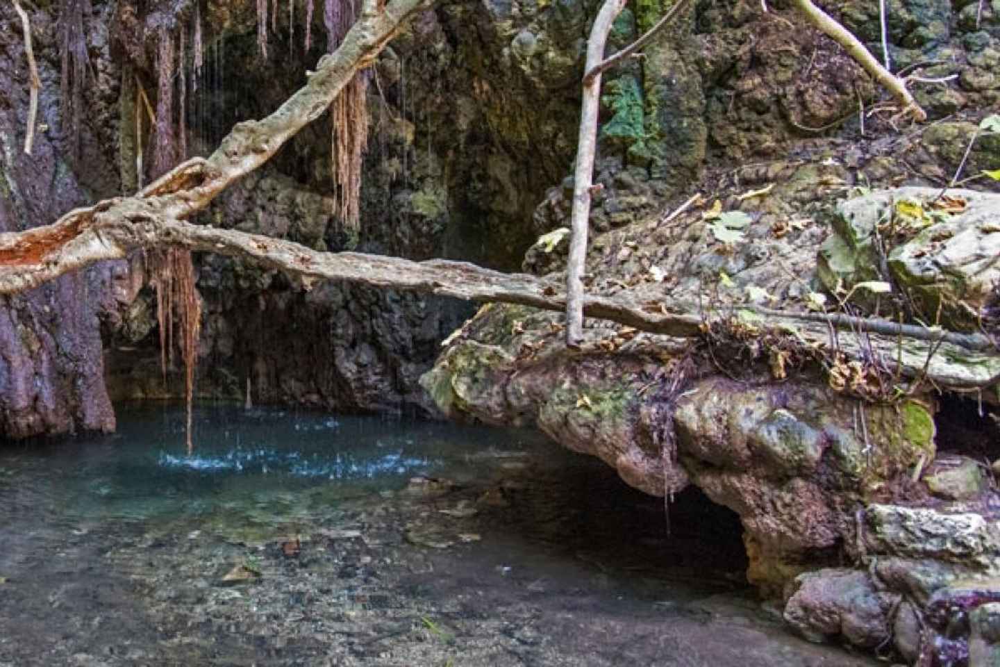 Frá Pafos eða Limassol: Akamas þjóðgarður jeppaferð