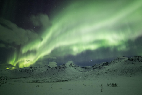 Tromsø: Aurora Borealis Hunting with Professional Photographer in Spanish