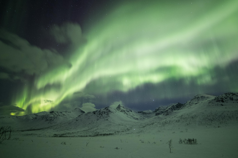 Tromsø: Aurora Borealis Hunting with Professional Photographer in Spanish