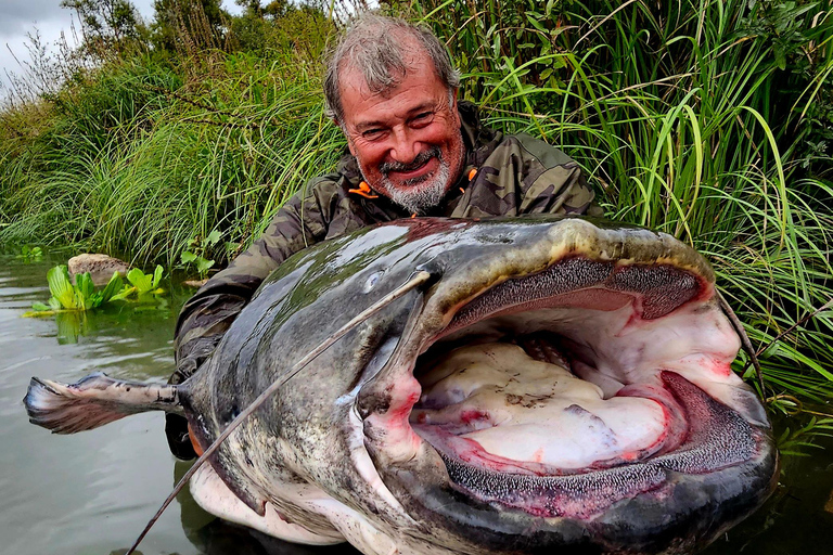 Catfish fishing in the Camargue and a boat tour of the Pont d'Avignon