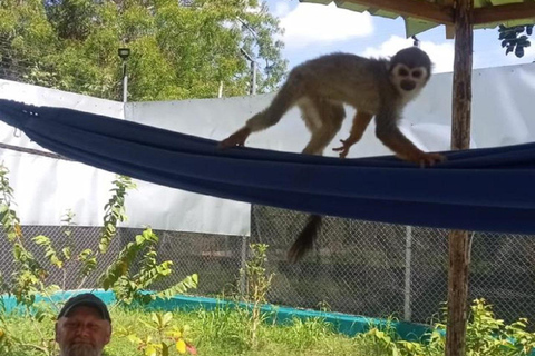 Puerto Plata: Monkey Home Encounter Adventure