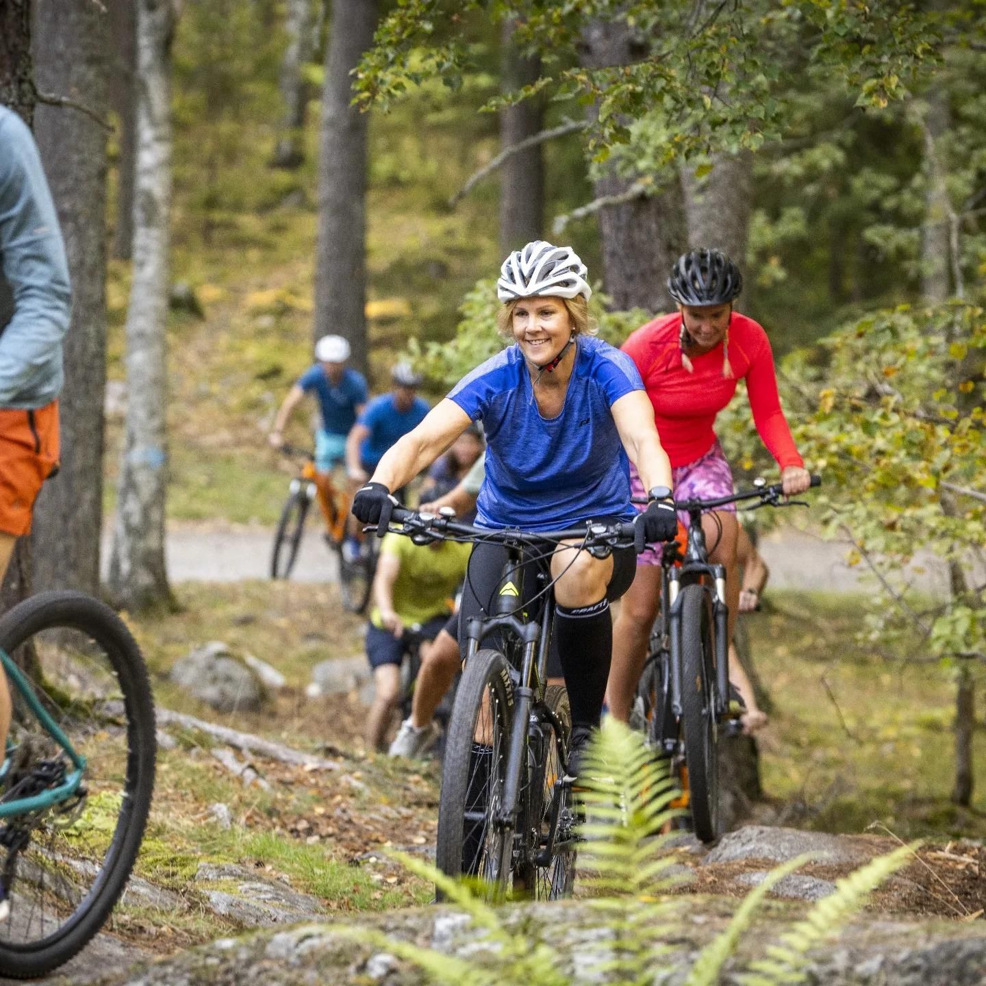 Uppsala: Mountainbike-Verleih mit Helm