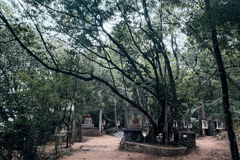 From Colombo: Gampaha District Temples & Jungle Hike Tour