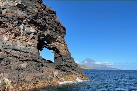 Isla de Faial: Tour en barco único al volcán Capelinhos