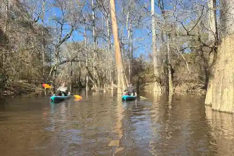 Honey Island Swamp Kayak Tour