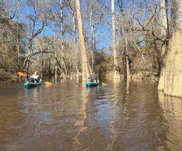 Kajaktour durch den Honey Island Swamp