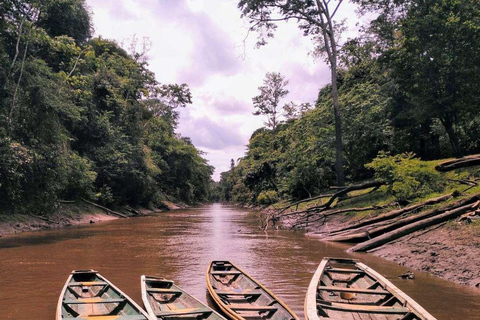 Von Iquitos aus den Amazonas befahren - ganztägig