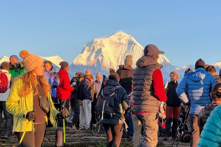 Pokhara: Trekking PoonHill Sunrise de 2 dias - Viagem em veículo particularPokhara: Caminhada de 2 dias em Poon Hill ao nascer do sol