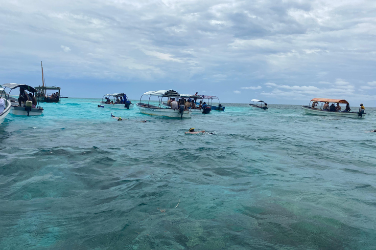 Mnemba: Afrikanska Maldiverna dagstur med lunchNungwi: Afrikanska Maldiverna dagstur med lunch