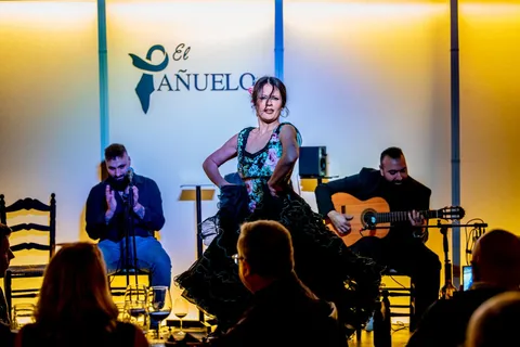 Flamenco en direct + dégustation