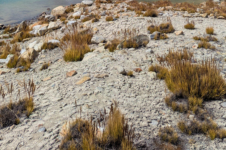 Wanderung Charquini und Lagunen von Huayna Potosí (Westseite)Wandern in Charquini und Lagunen von Huayna Potosí (Westseite)