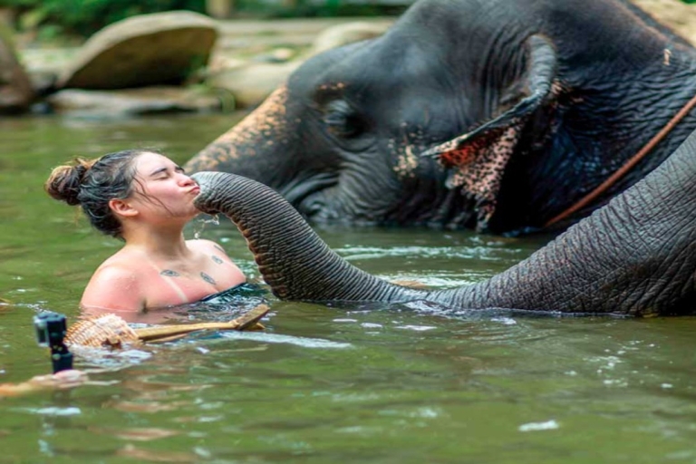 Khao Lak: Elephant Safari with Lunch