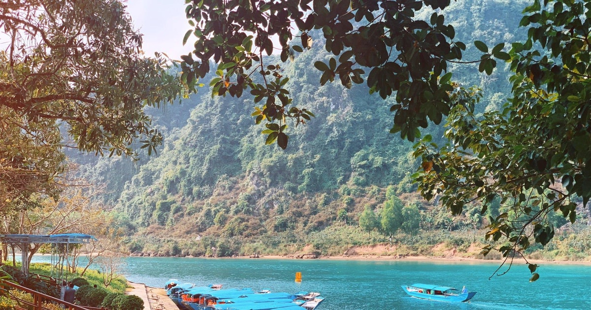 From Dong Hoi: Paradise Cave, Phong Nha Cave Tour, and Lunch