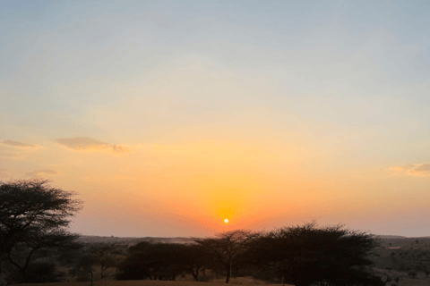 Jodhpur Overnight Camel Tour In Jodhpur Desert