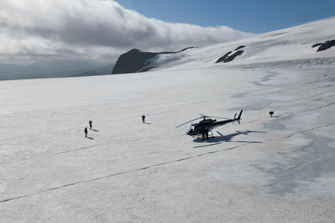 Från Reykjavik: Helikoptertur med eld och is med 2 landningar