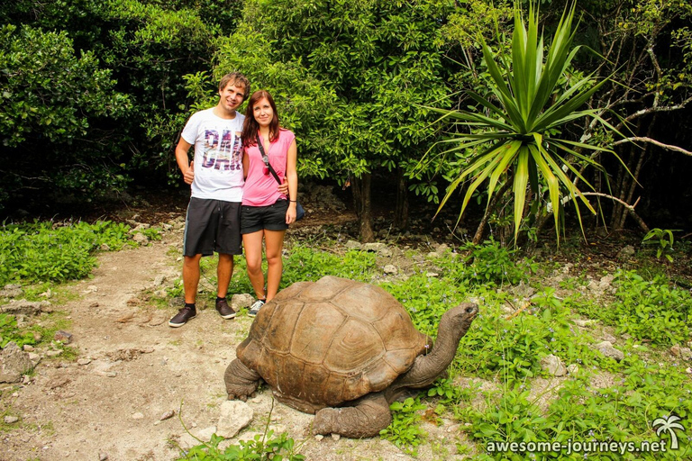 Mauritius: 5 eilanden dagtrip met lunch en transfer