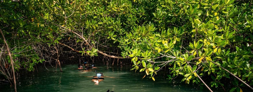 Bonaire : excursion de 2 heures en kayak et snorkeling dans la mangrove