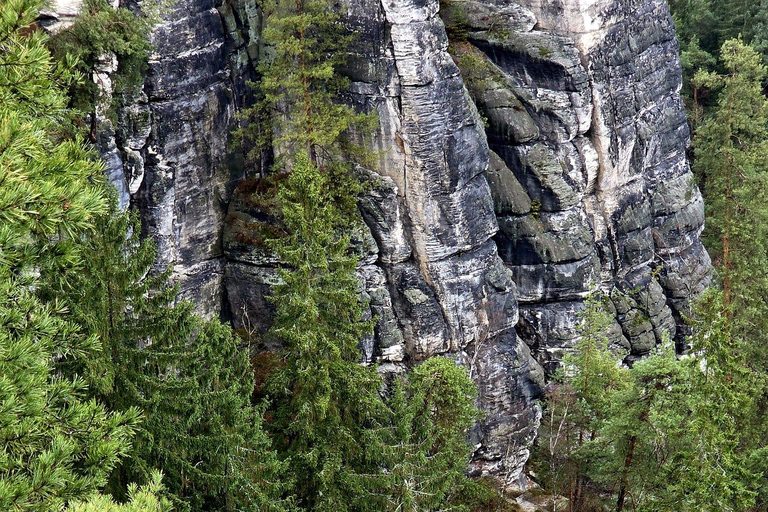 From Dresden: Table mountains Lilienstein & Königstein tour