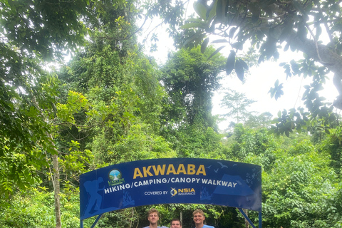 Kakum National Park & Elimina & Cape Coast Castle Day Tour