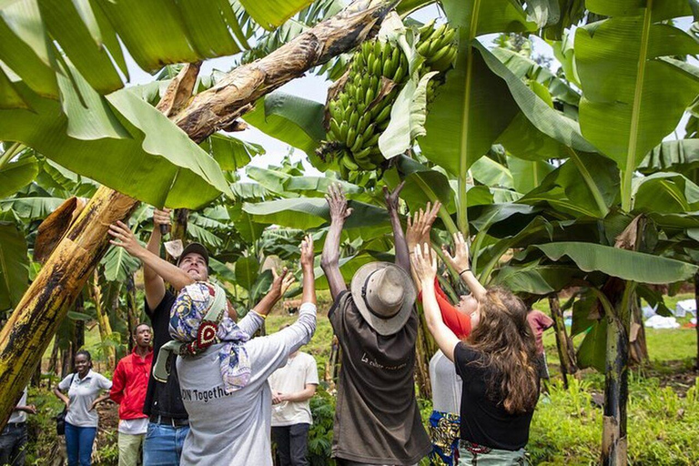 جولة في قرية مايانجي للمصالحة