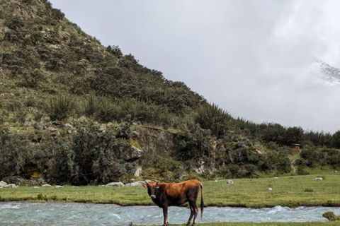 Huaraz: Ganztägige Lagune 69 + Llanganuco Lagune