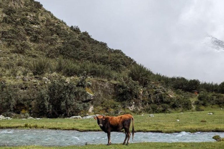 Huaraz: Ganztägige Lagune 69 + Llanganuco Lagune