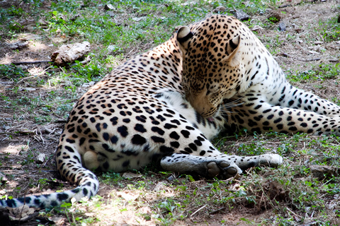 Entebbe : Entebbe Zoo and Botanical gardens Tour