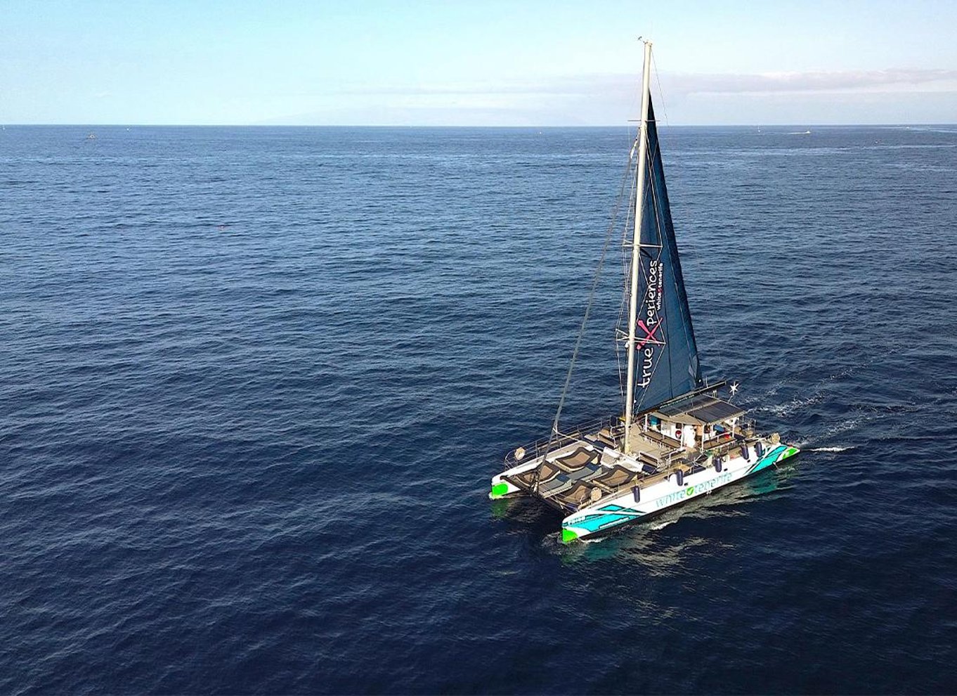 Costa Adeje: Øko-cruise med hvaler og delfiner med snacks og drikkevarer