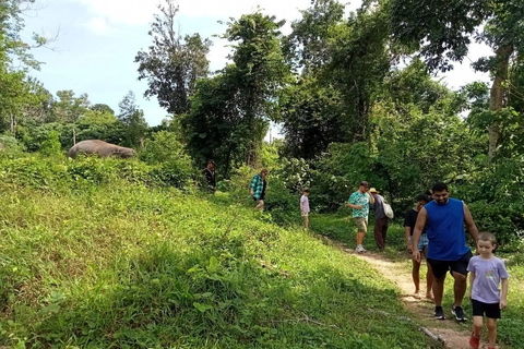 Phuket: Spacer i sadzenie roślin w Parku Przyrody Słoni