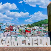 Busan: Private Taxi Tour - Port Cruise Shore Excursion
