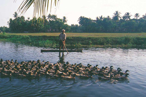 Kochi: Ultimate Kerala and Kumbalangi Village Same Day Tour