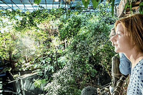 Gothenburg: Universeum & Haga Private Day Tour with Guide