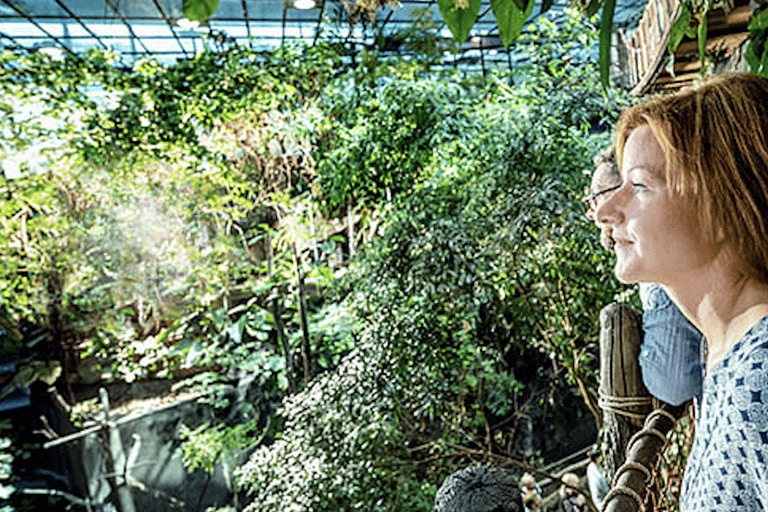 Gothenburg: Universeum & Haga Private Day Tour with Guide